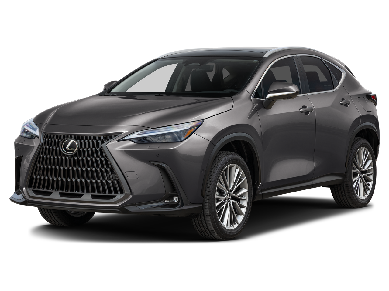 2026 Lexus NX LUXURY AWD