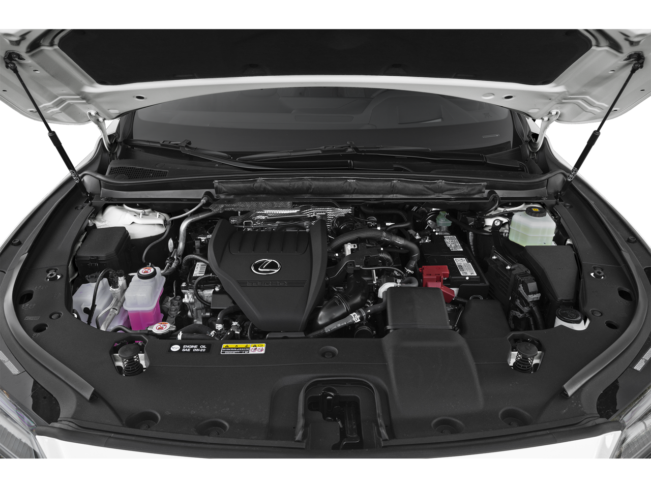 2025 Lexus RX 350 Luxury