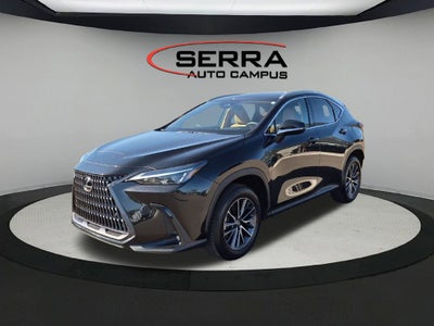 2025 Lexus NX 250 Base