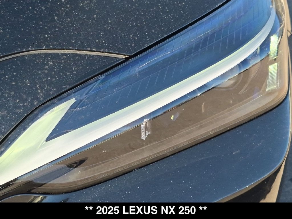 2025 Lexus NX 250 Base