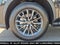 2025 Lexus NX 250 Base