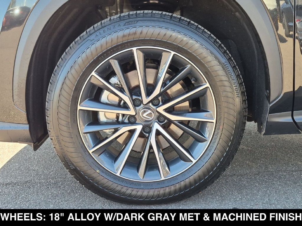 2025 Lexus NX 250 Base