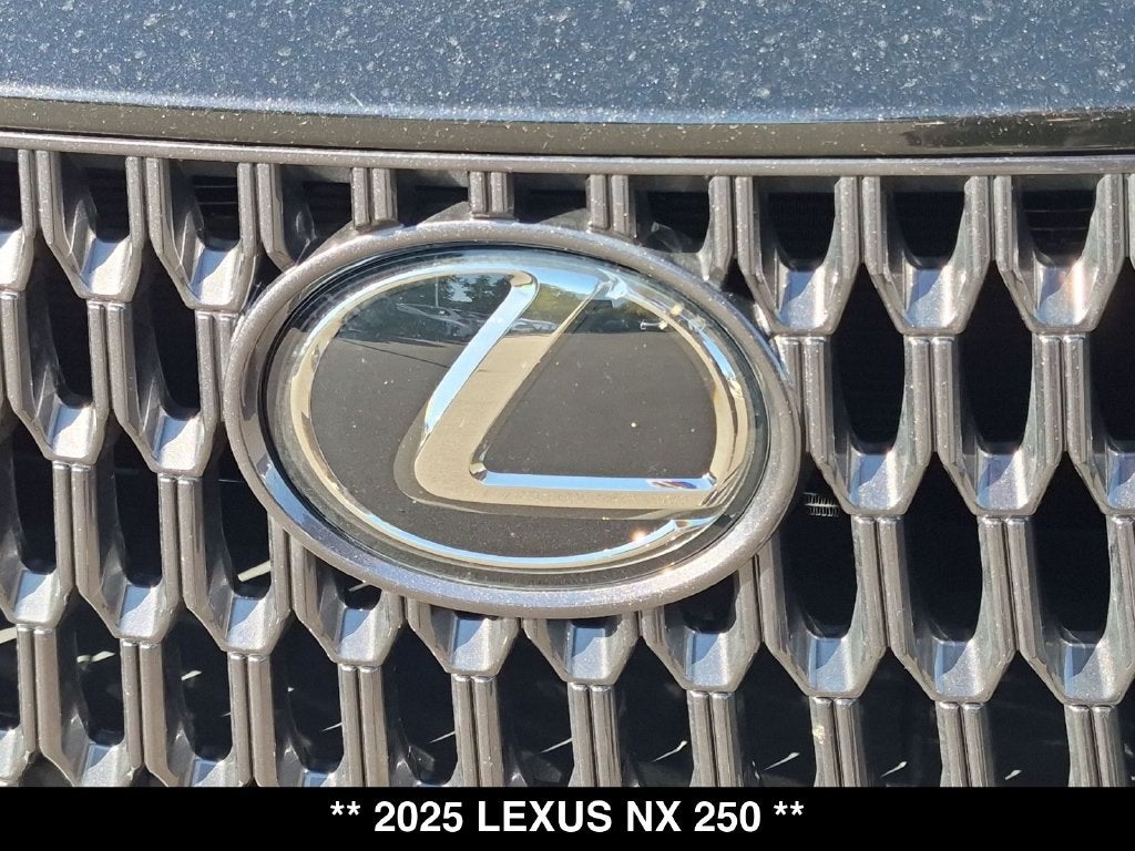 2025 Lexus NX 250 Base