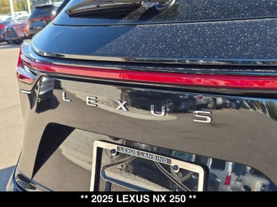 2025 Lexus NX 250 Base
