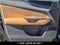 2025 Lexus NX 250 Base