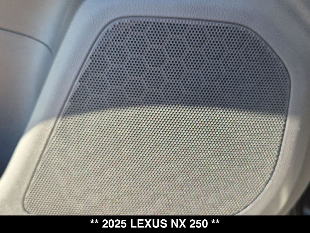 2025 Lexus NX 250 Base