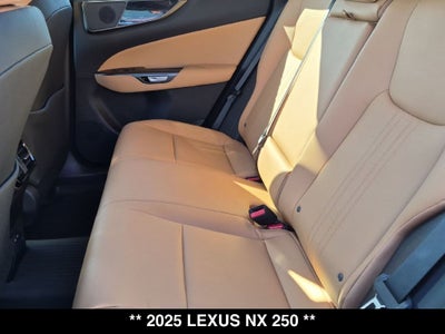 2025 Lexus NX 250 Base