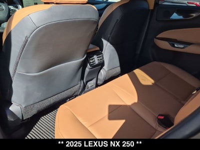 2025 Lexus NX 250 Base