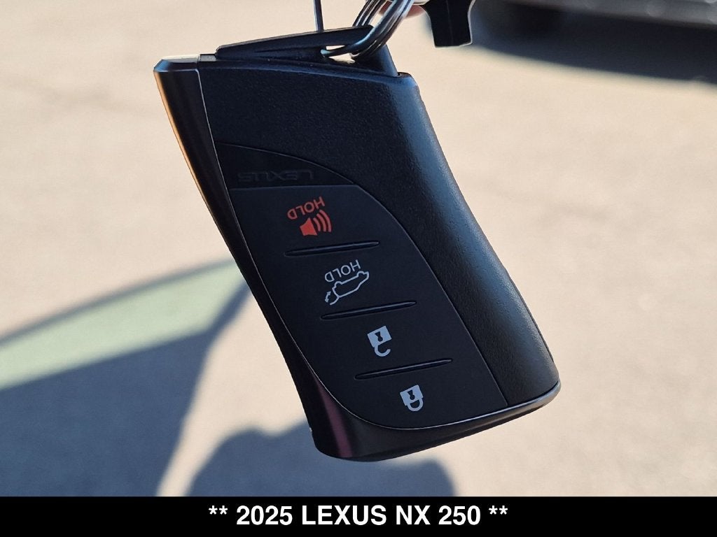 2025 Lexus NX 250 Base