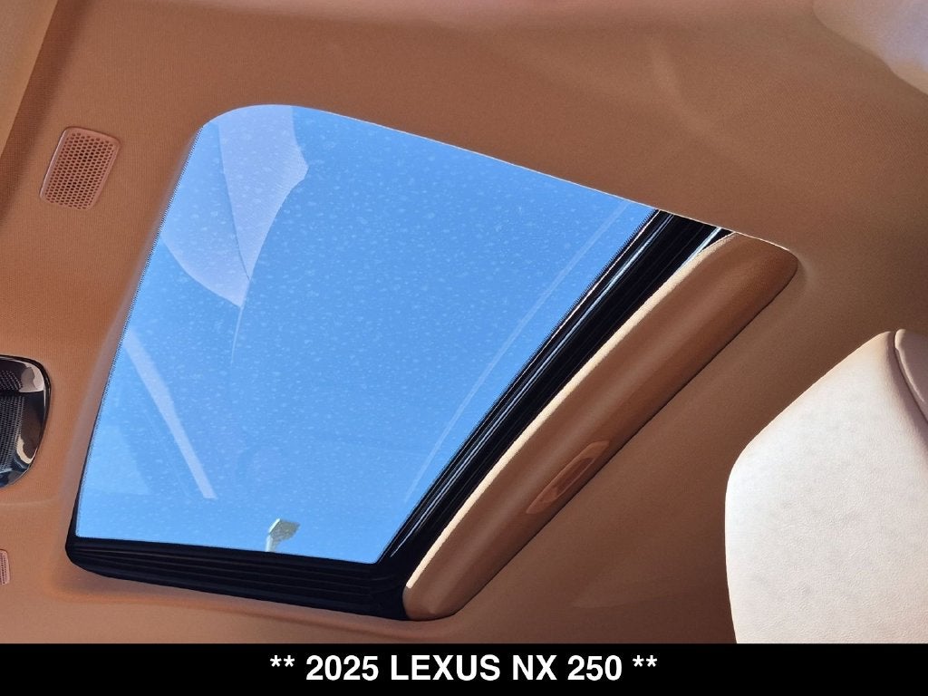 2025 Lexus NX 250 Base