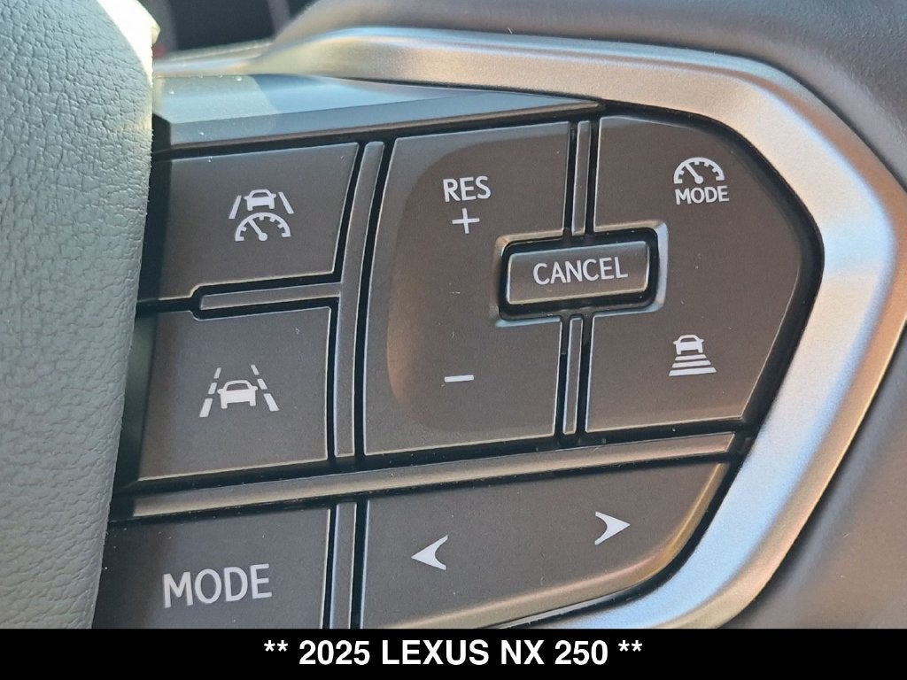 2025 Lexus NX 250 Base