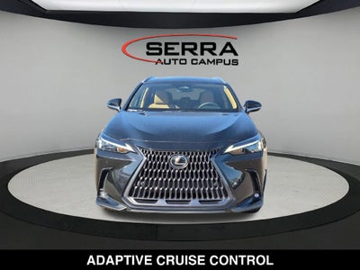 2025 Lexus NX 250 Base
