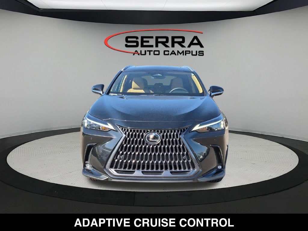 2025 Lexus NX 250 Base