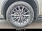 2024 Lexus NX 350 Base
