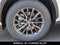 2026 Lexus NX AWD