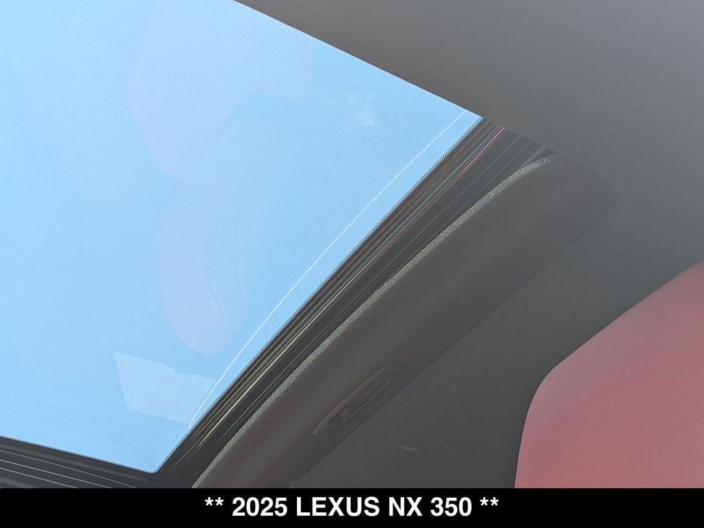 2025 Lexus NX AWD