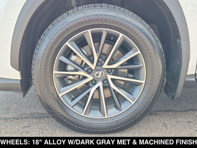 2025 Lexus NX 350 Base