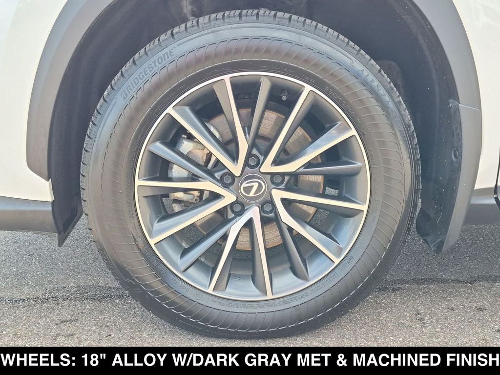 2025 Lexus NX 350 Base