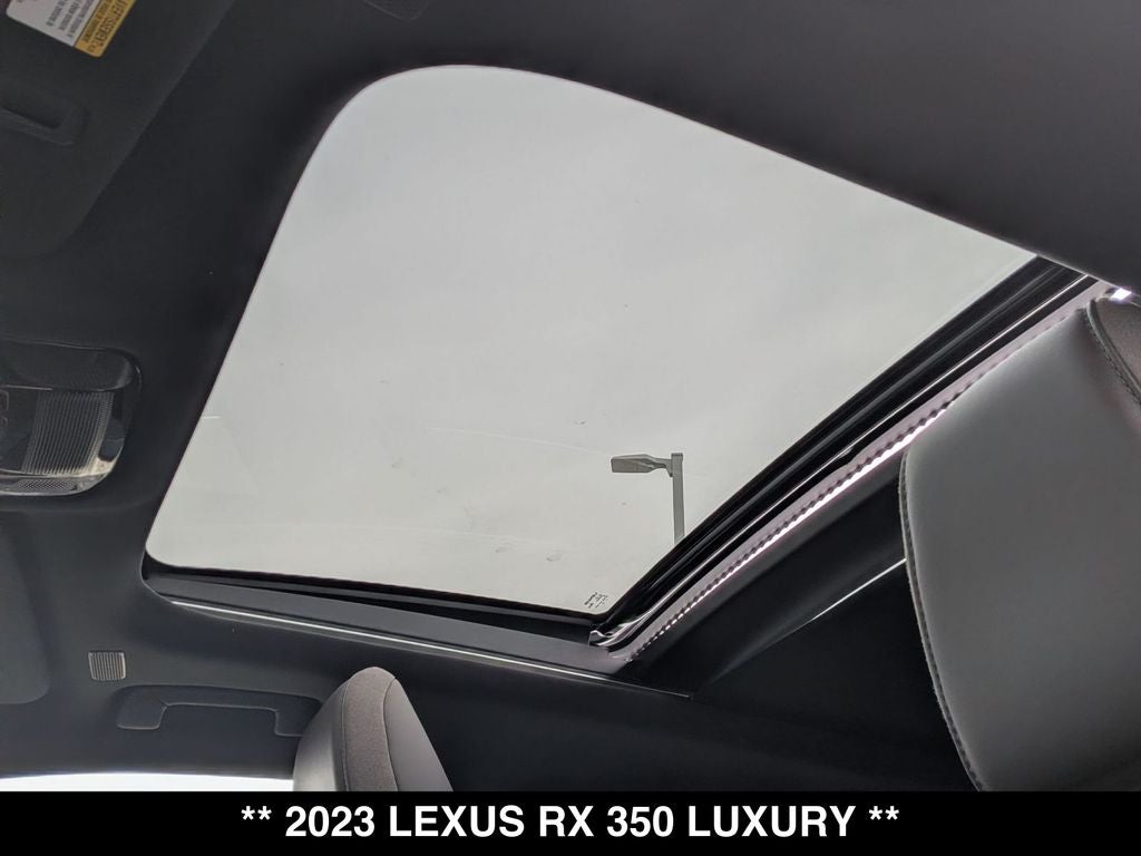 2023 Lexus RX 350 Luxury