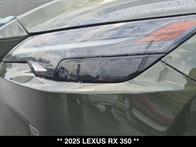 2025 Lexus RX 350