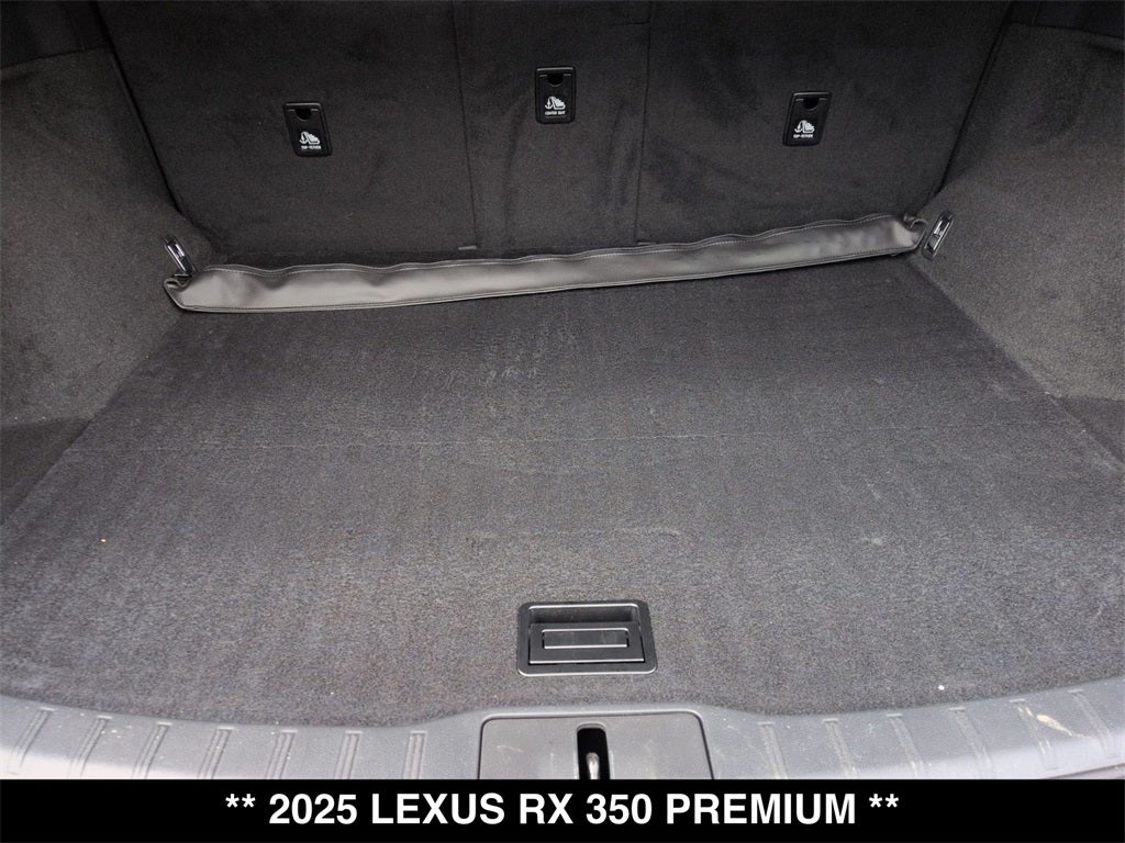 2025 Lexus RX PREMIUM