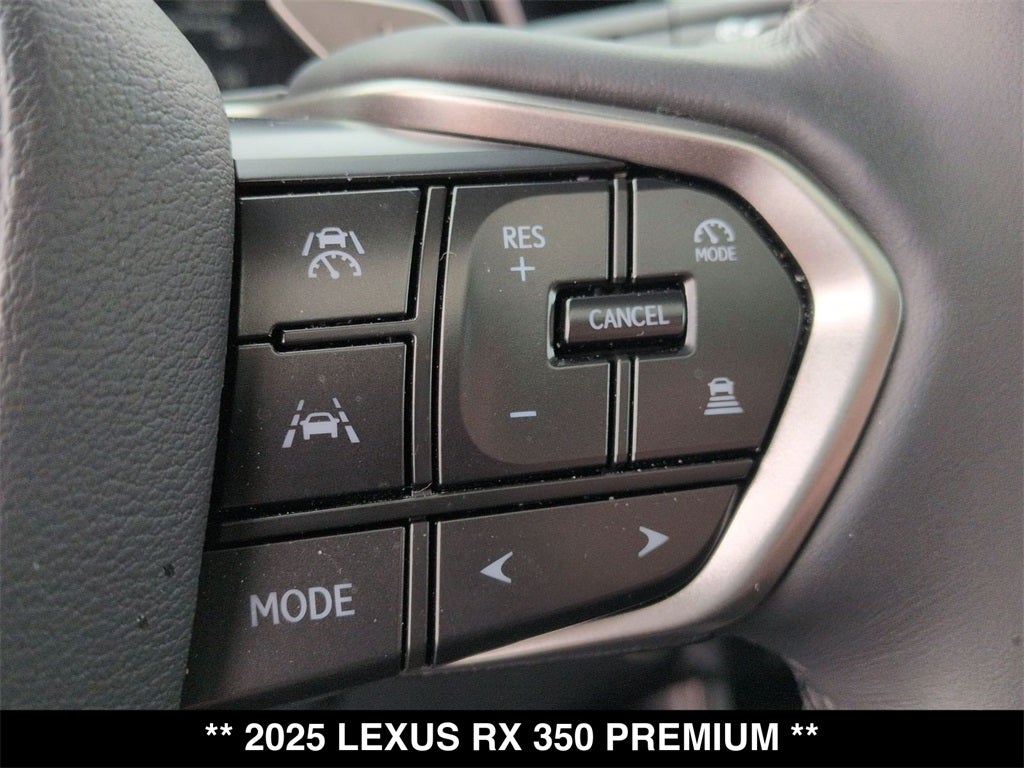 2025 Lexus RX PREMIUM