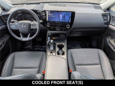 2025 Lexus NX 350 Premium