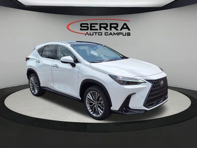 2026 Lexus NX LUXURY AWD