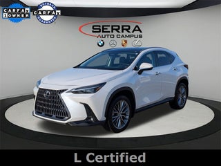 2024 Lexus NX LUXURY AWD