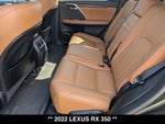 2022 Lexus RX 350
