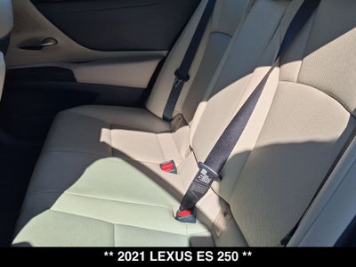 2021 Lexus ES 250
