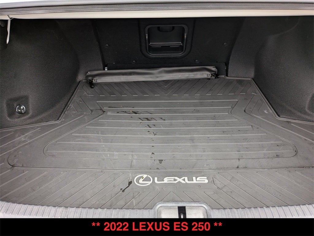 2022 Lexus ES 250