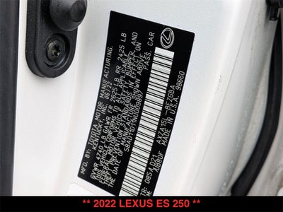 2022 Lexus ES 250