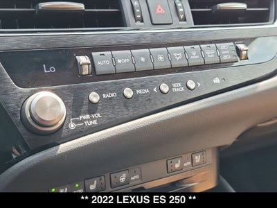 2022 Lexus ES 250