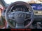 2025 Lexus ES LUXURY