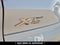 2022 BMW X5 xDrive40i M Sport