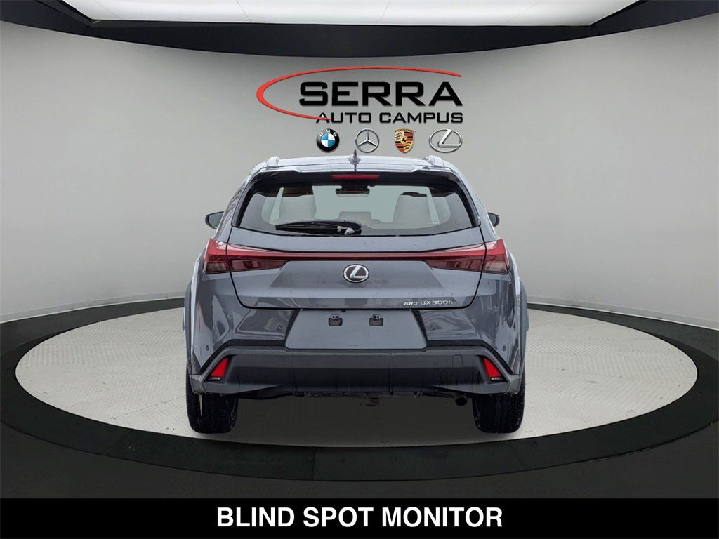 2025 Lexus UX 300h Premium