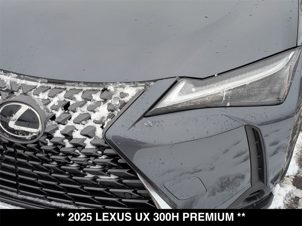 2025 Lexus UX 300h Premium