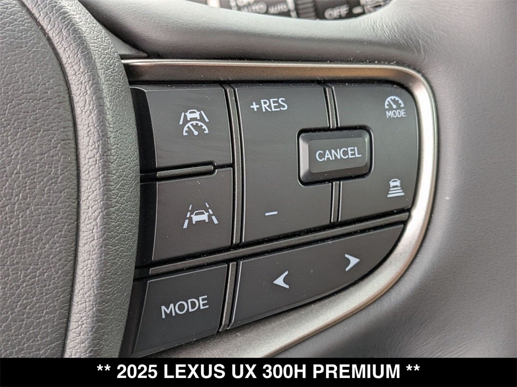 2025 Lexus UX 300h Premium