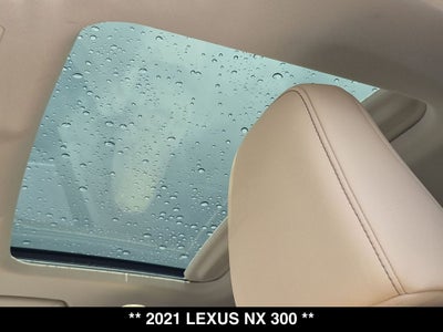 2021 Lexus NX 300 Base