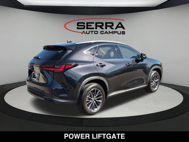 2025 Lexus NX 250 NX 250