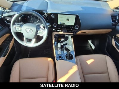 2025 Lexus NX 250 NX 250