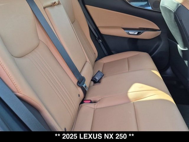 2025 Lexus NX 250 NX 250