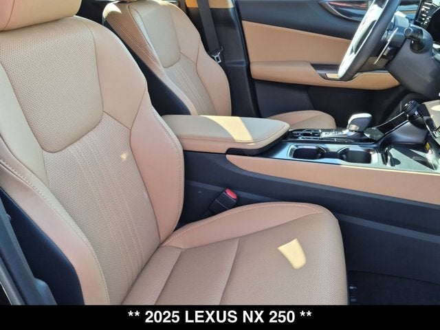 2025 Lexus NX 250 NX 250