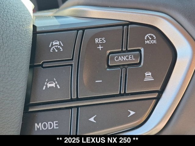 2025 Lexus NX 250 NX 250