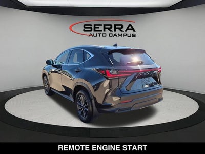2024 Lexus NX 250 NX 250