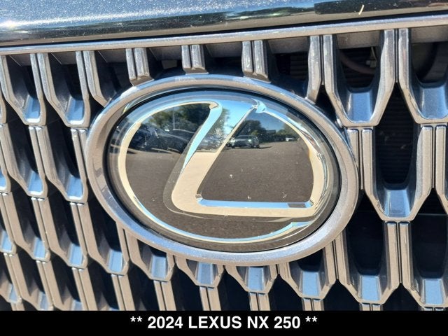 2024 Lexus NX 250 NX 250