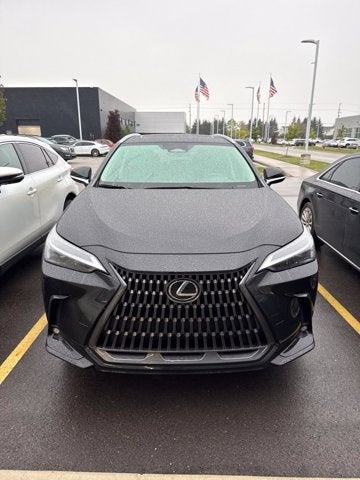 2024 Lexus NX 250 NX 250