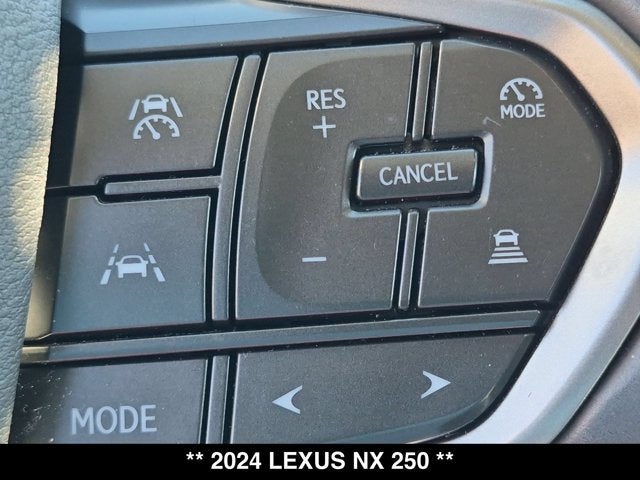 2024 Lexus NX 250 NX 250