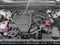 2025 Lexus NX 350 NX 350 Luxury